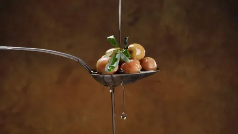 Aceite de oliva Picual